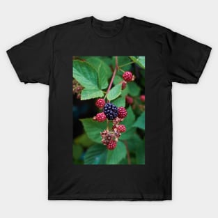 Blackberry T-Shirt